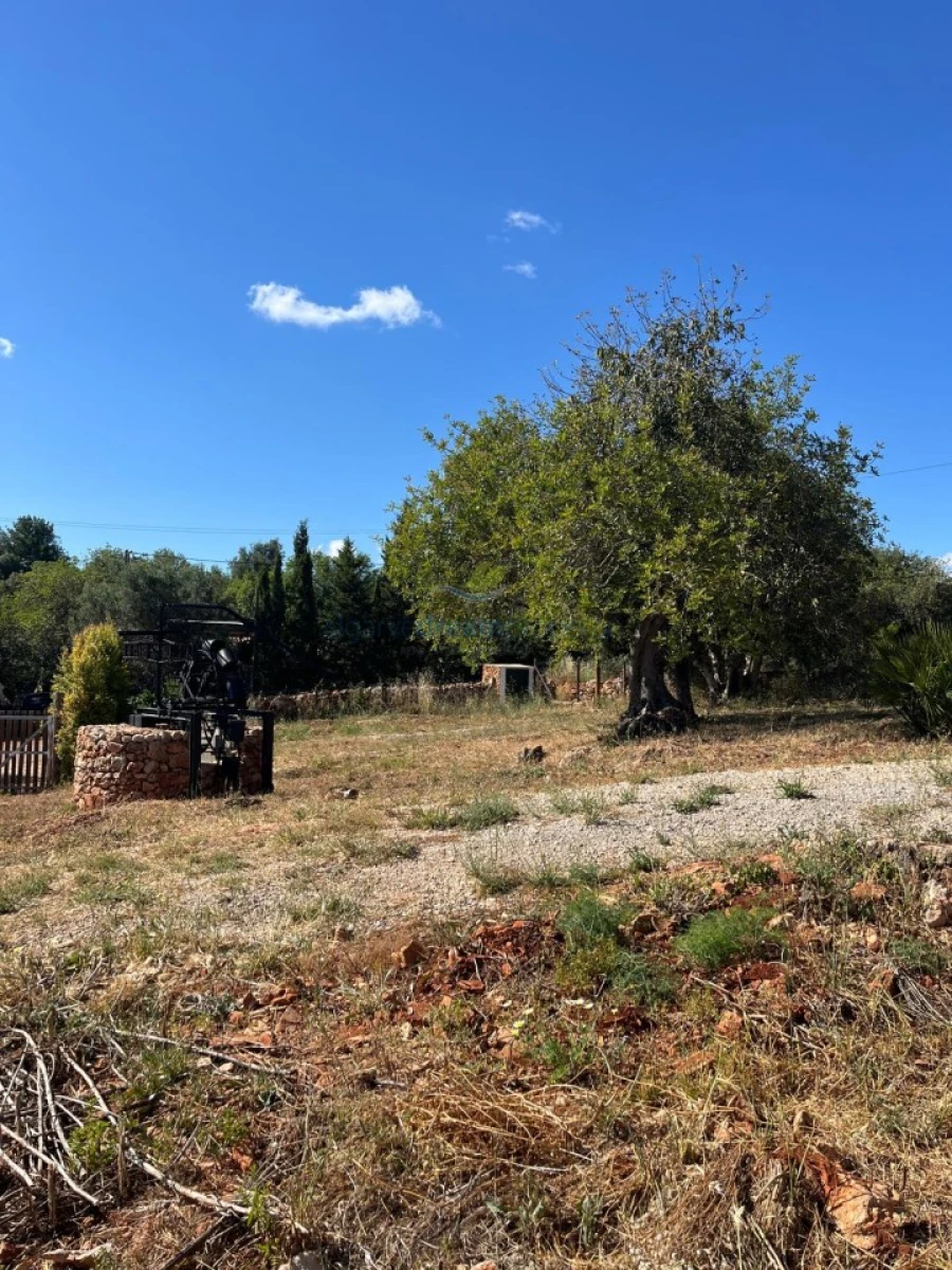 Quinta T5 para Venda em São Bartolomeu de Messines Foto 15