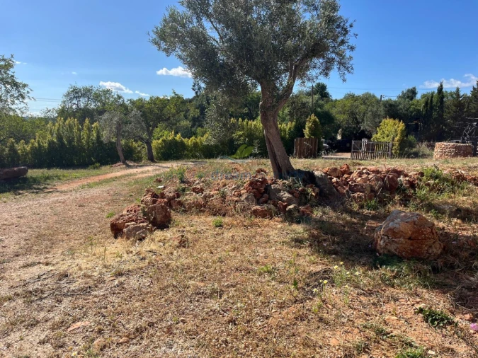 Quinta T5 para Venda em São Bartolomeu de Messines Foto 23