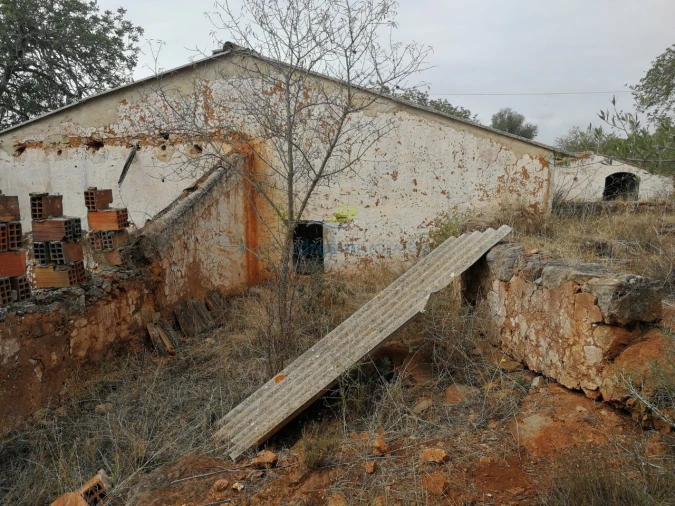 Quinta T5 para Venda em São Bartolomeu de Messines Foto 26