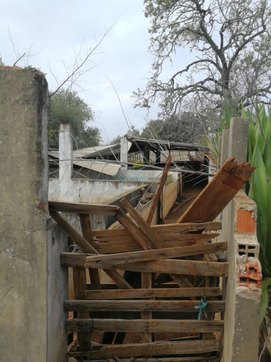 Quinta T5 para Venda em São Bartolomeu de Messines Foto 27