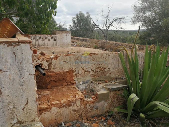 Quinta T5 para Venda em São Bartolomeu de Messines Foto 29