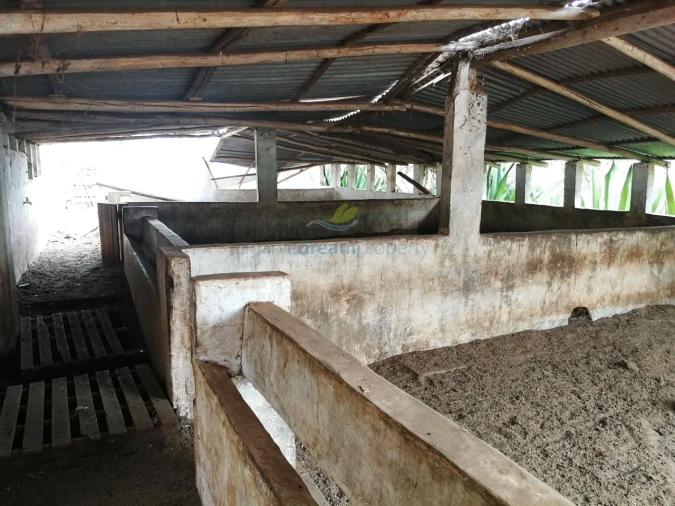 Quinta T5 para Venda em São Bartolomeu de Messines Foto 31