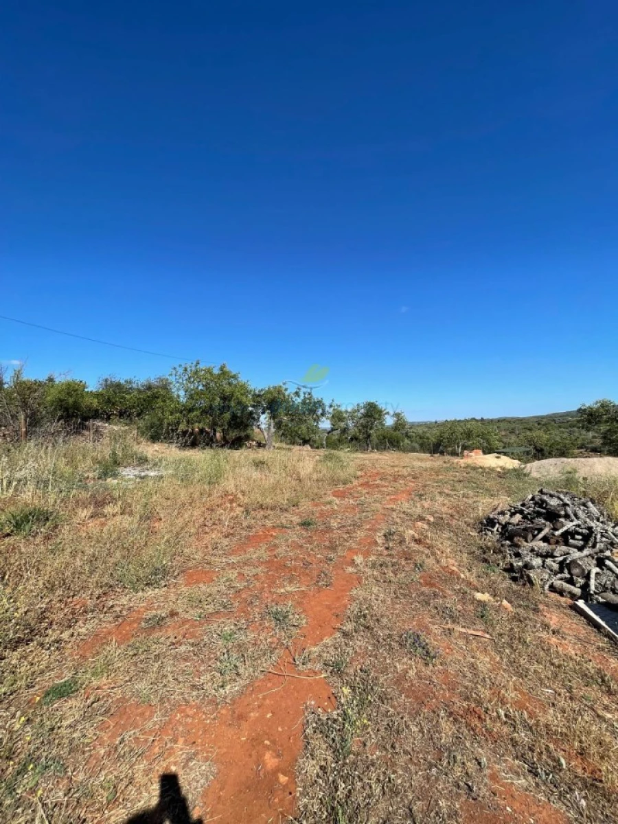 Quinta T5 para Venda em São Bartolomeu de Messines Foto 37