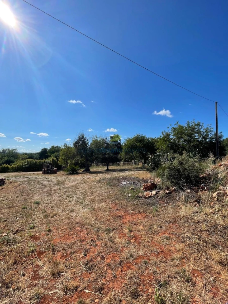 Quinta T5 para Venda em São Bartolomeu de Messines Foto 41