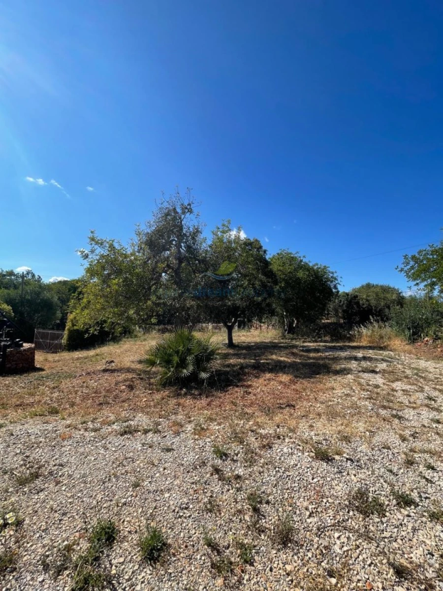 Quinta T5 para Venda em São Bartolomeu de Messines Foto 42