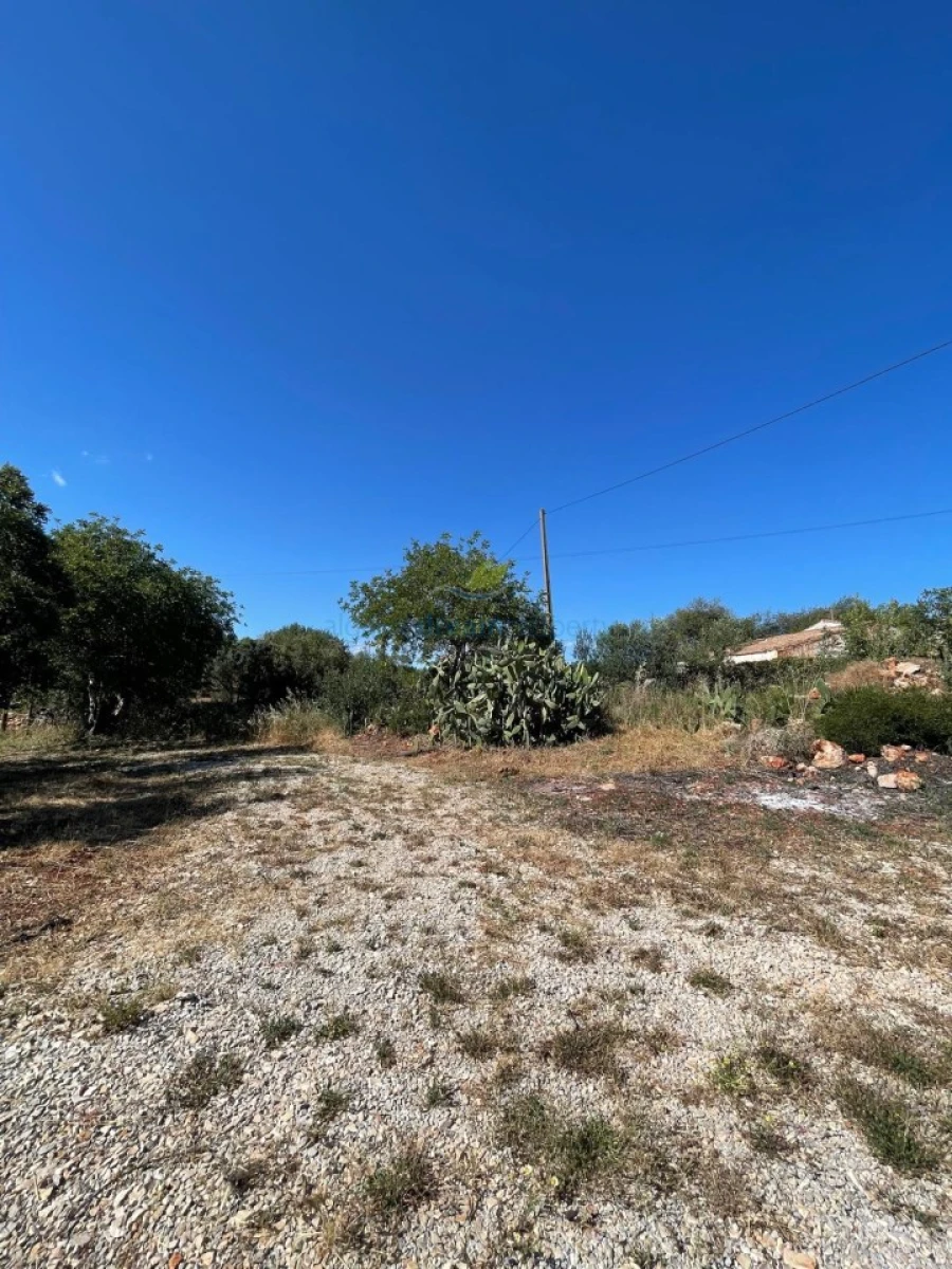 Quinta T5 para Venda em São Bartolomeu de Messines Foto 43