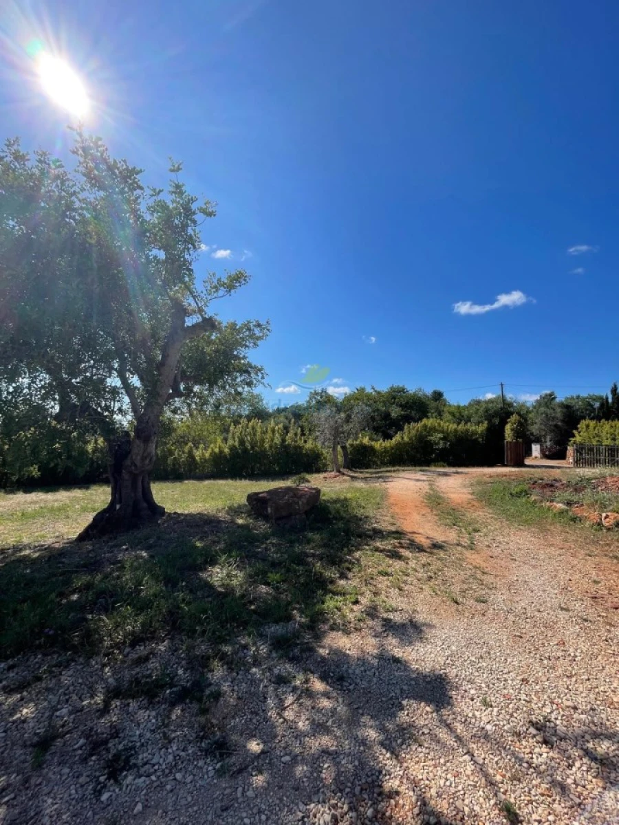 Quinta T5 para Venda em São Bartolomeu de Messines Foto 52
