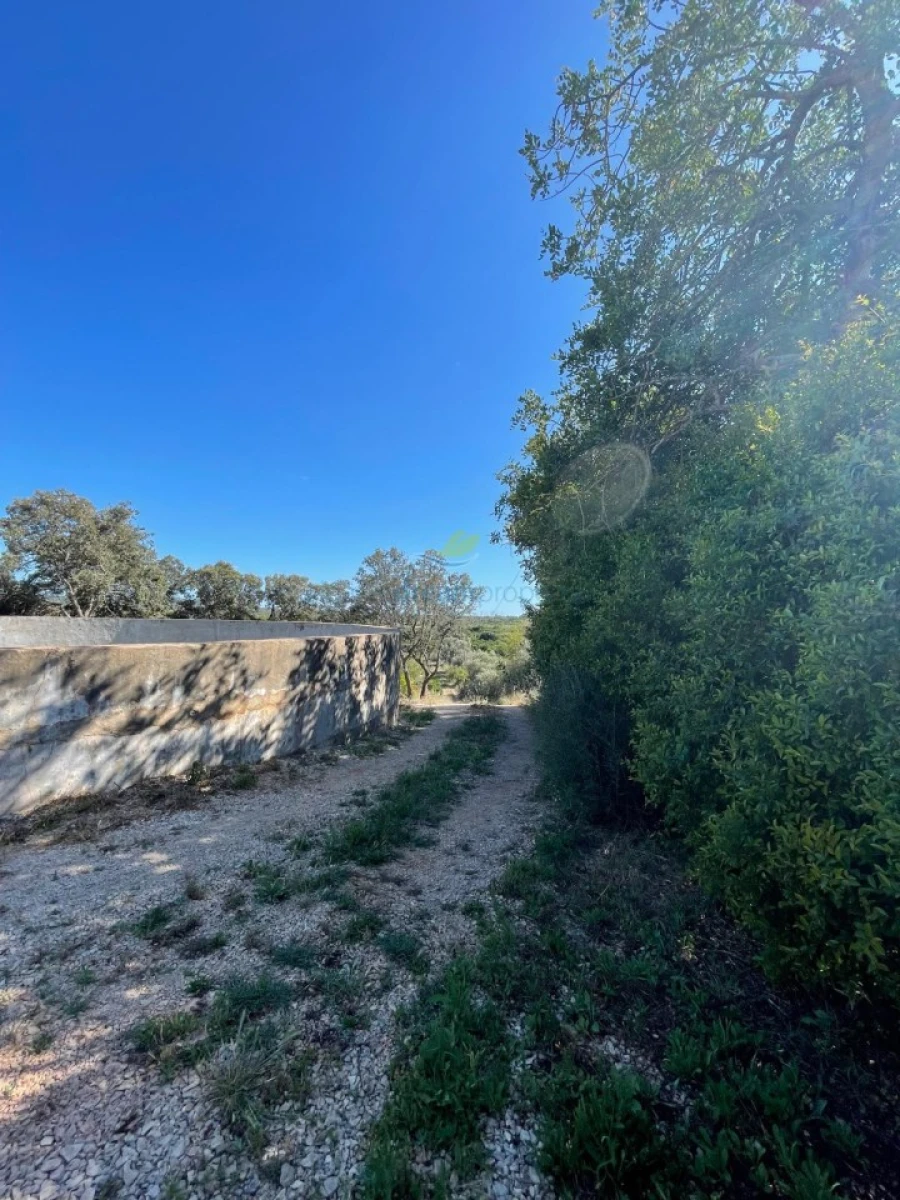 Quinta T5 para Venda em São Bartolomeu de Messines Foto 56