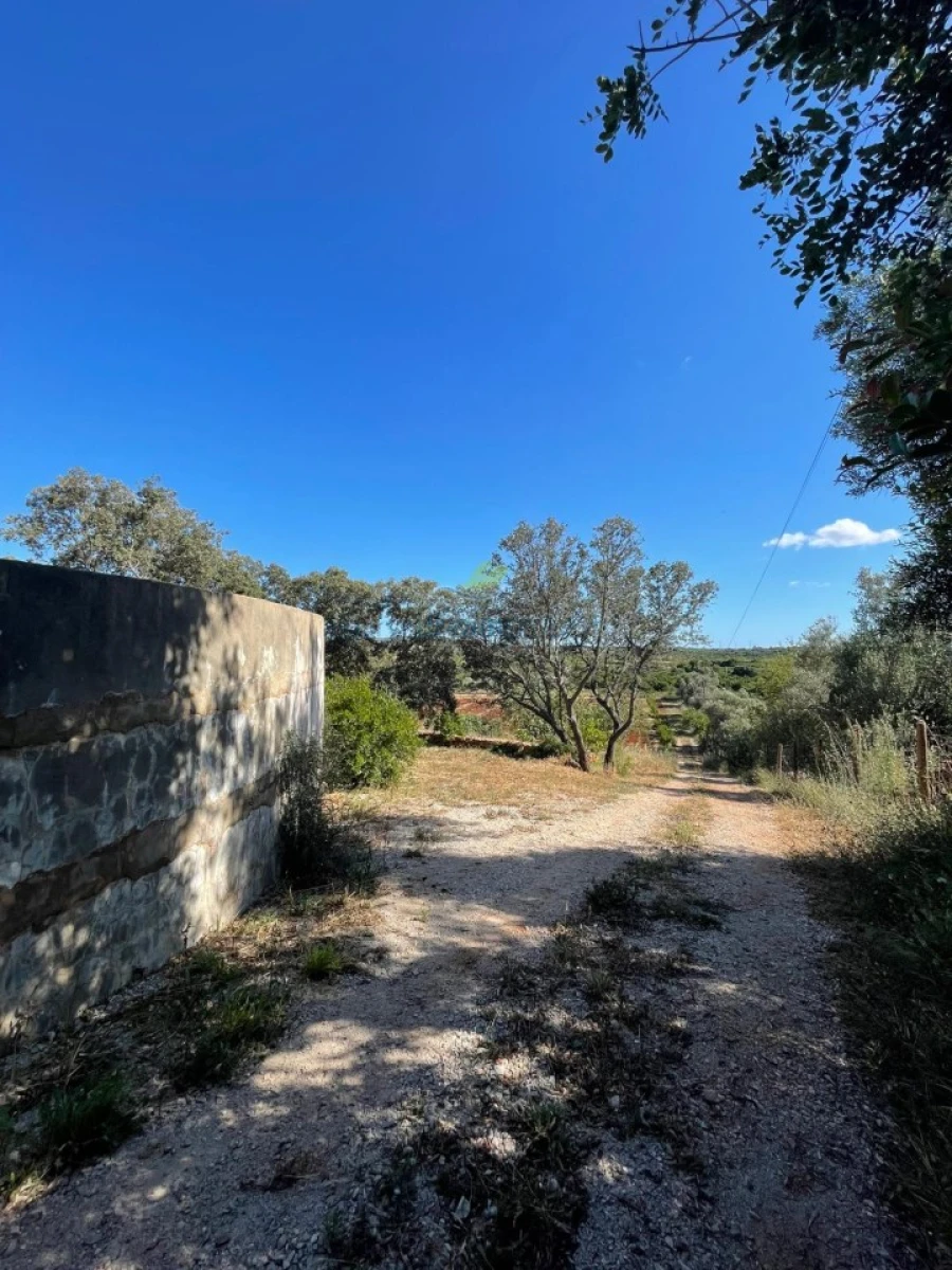 Quinta T5 para Venda em São Bartolomeu de Messines Foto 57