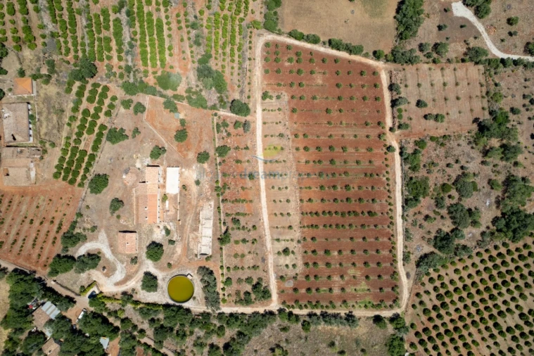 Quinta T5 para Venda em São Bartolomeu de Messines Foto 10