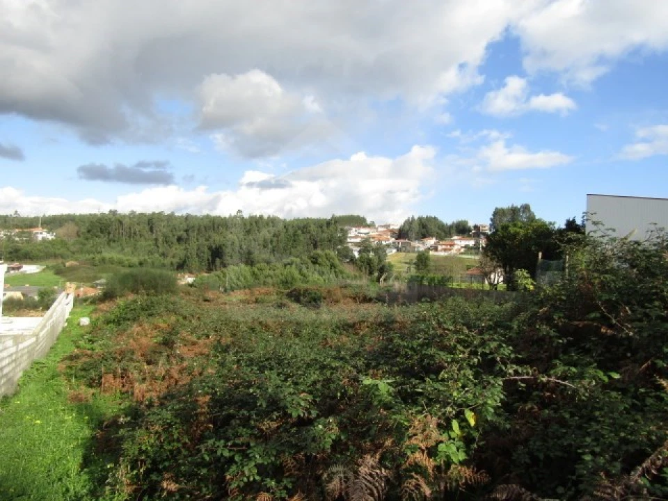 Terreno para Venda em Nogueira da Regedoura Foto 3