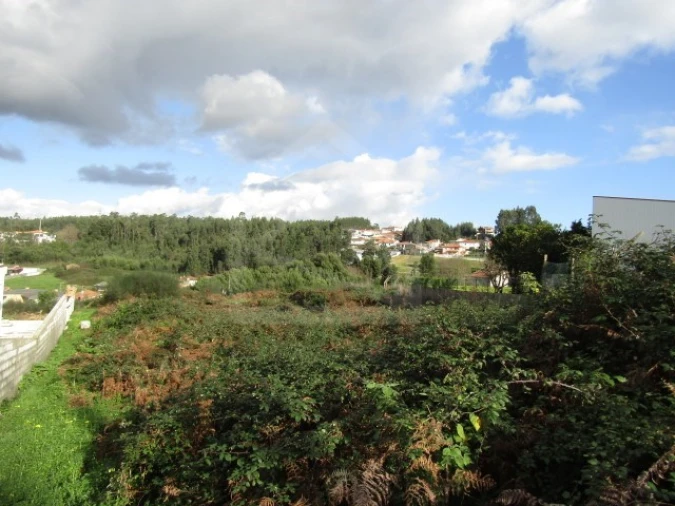 Terreno para Venda em Nogueira da Regedoura Foto 3