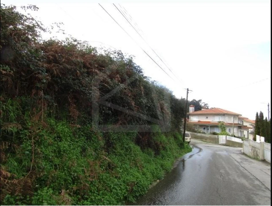 Terreno para Venda em Nogueira da Regedoura Foto 2