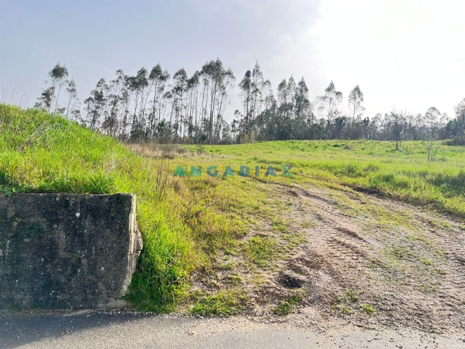 Terreno para Venda em Souto da Carpalhosa e Ortigosa