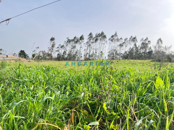 Terreno para Venda em Souto da Carpalhosa e Ortigosa Foto 3