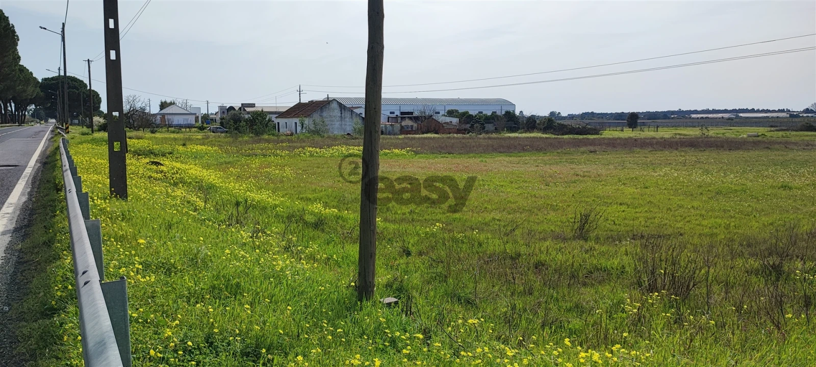 Terreno para Venda em Canha Foto 23
