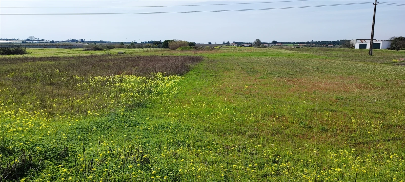 Terreno para Venda em Canha Foto 8