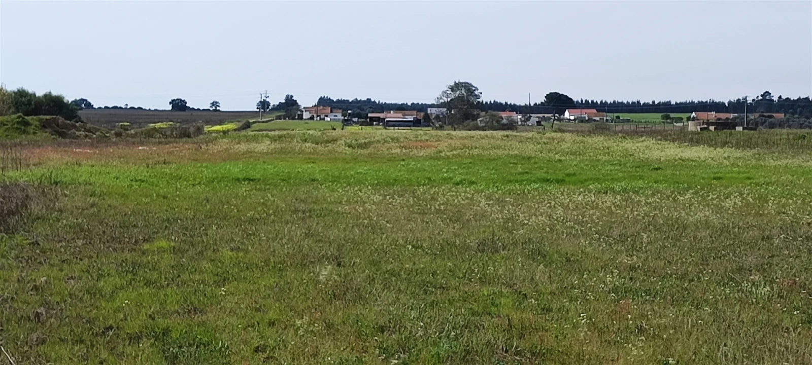 Terreno para Venda em Canha Foto 15