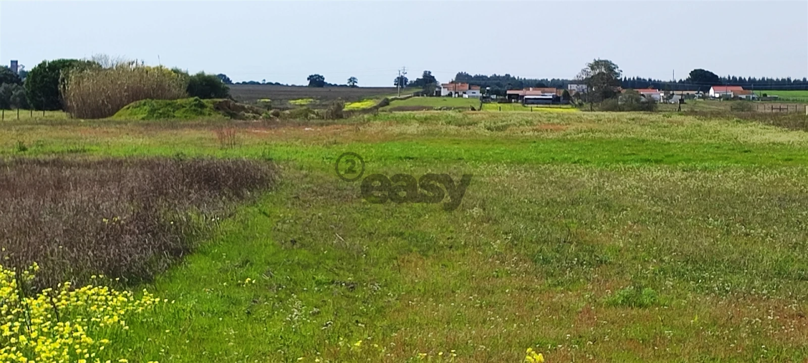 Terreno para Venda em Canha Foto 38