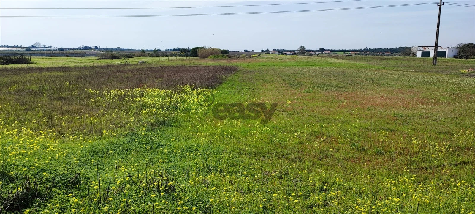 Terreno para Venda em Canha Foto 29
