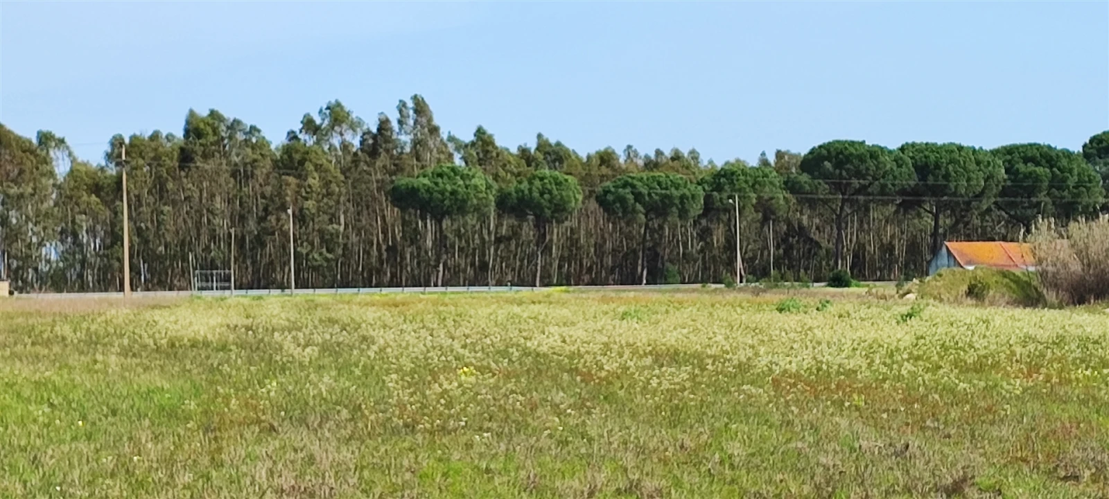 Terreno para Venda em Canha Foto 10
