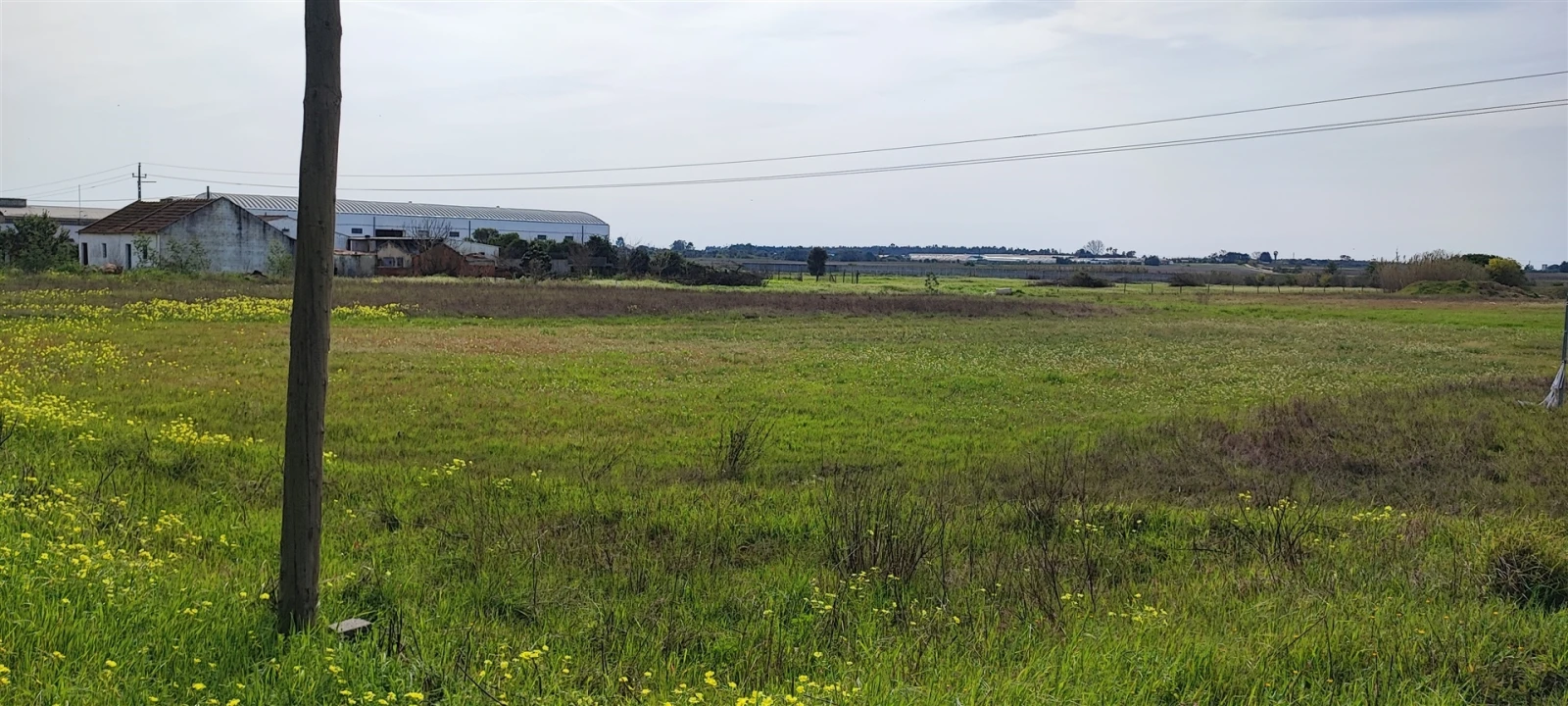 Terreno para Venda em Canha Foto 4