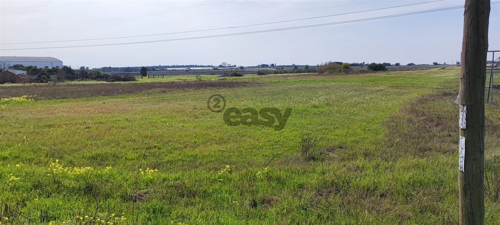Terreno para Venda em Canha Foto 26
