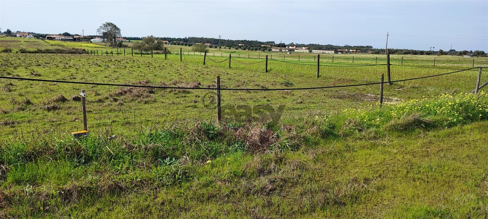 Terreno para Venda em Canha Foto 41