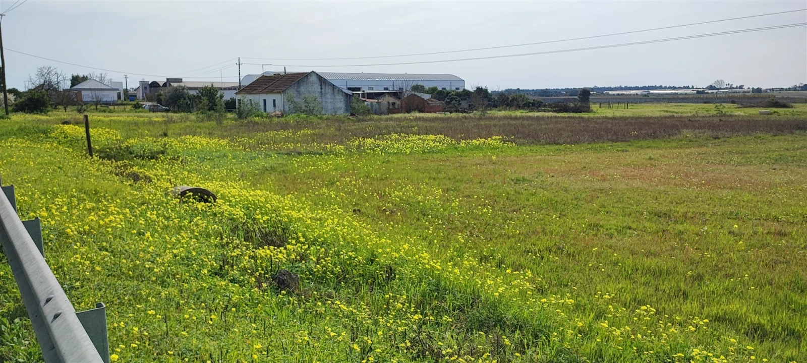Terreno para Venda em Canha Foto 6