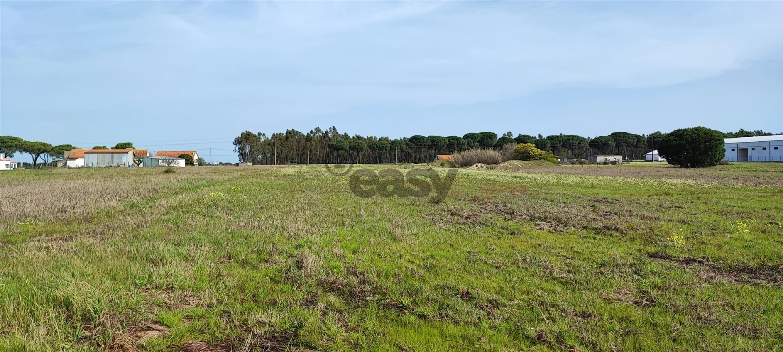 Terreno para Venda em Canha Foto 34