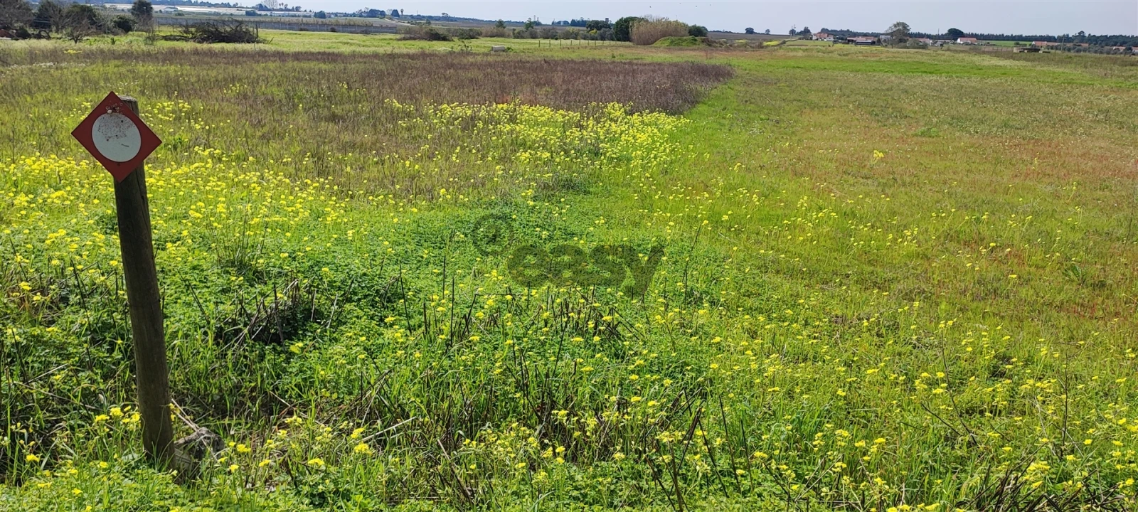 Terreno para Venda em Canha Foto 28