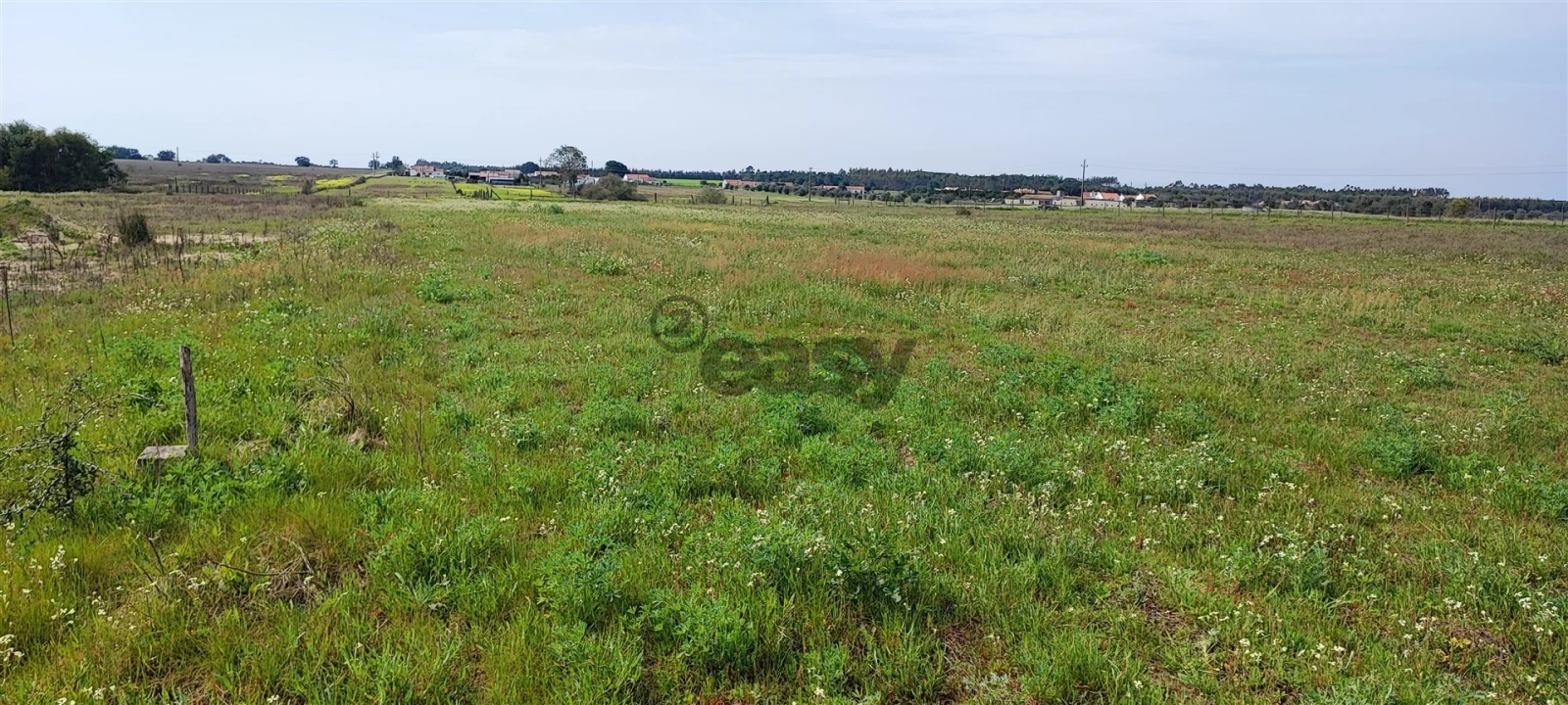 Terreno para Venda em Canha Foto 35