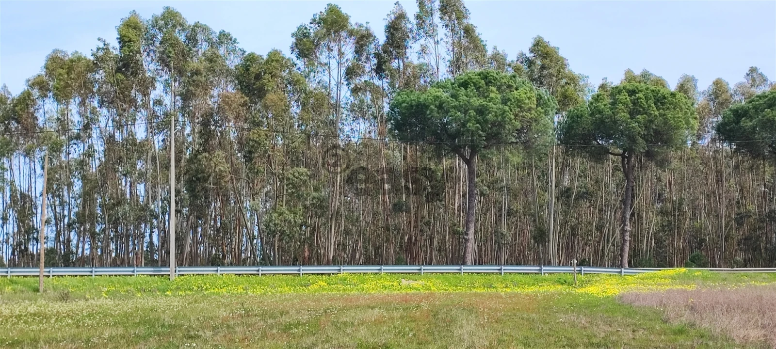 Terreno para Venda em Canha Foto 32