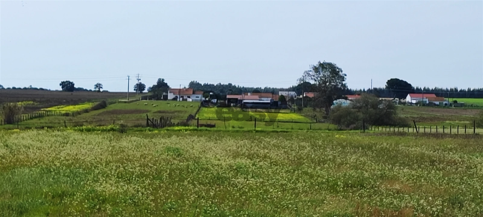 Terreno para Venda em Canha Foto 40