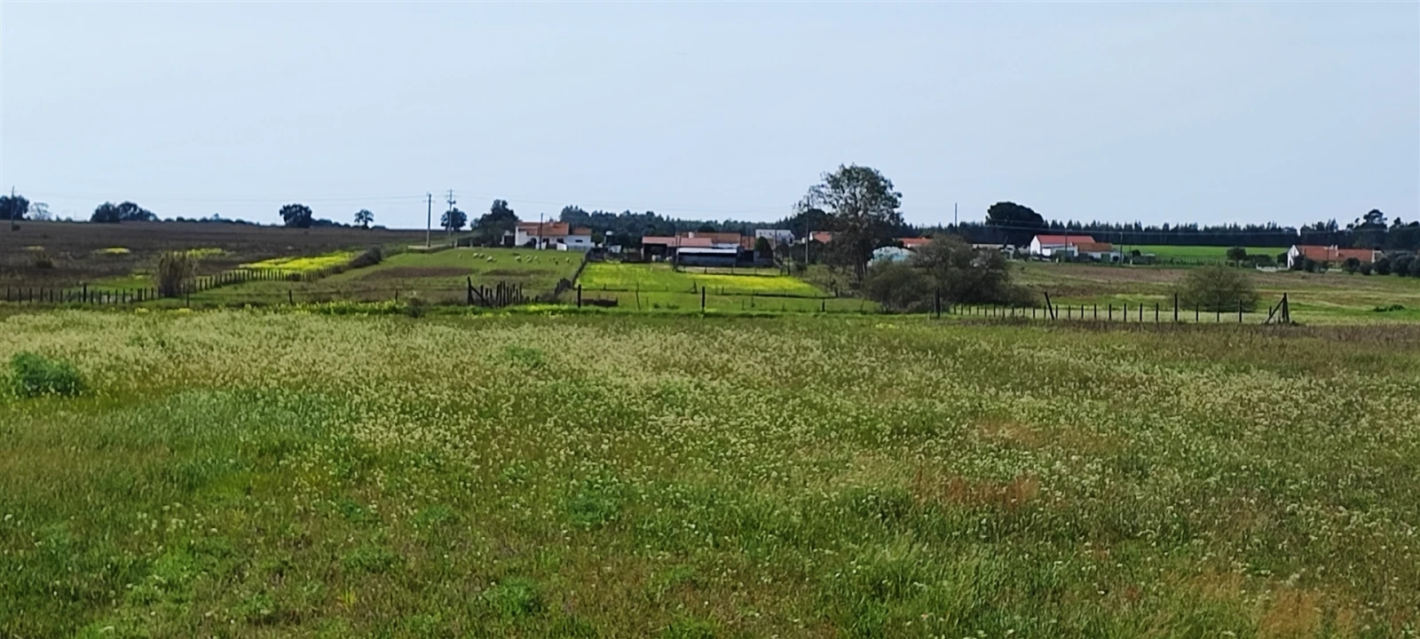 Terreno para Venda em Canha Foto 16