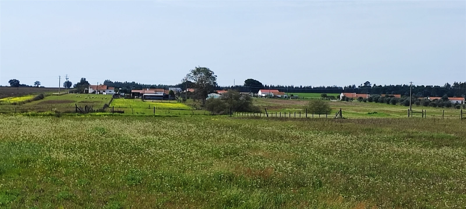 Terreno para Venda em Canha Foto 18
