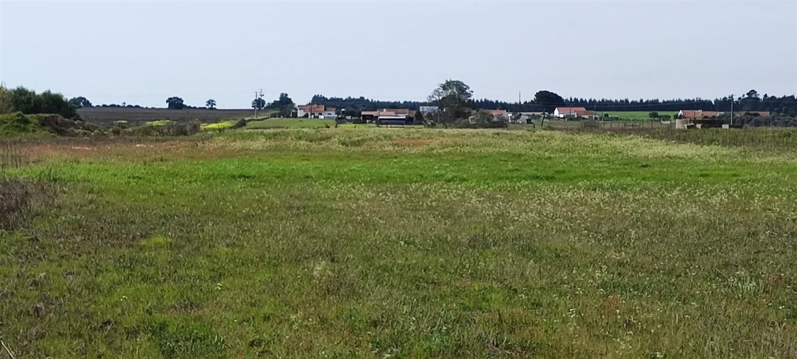 Terreno para Venda em Canha Foto 15