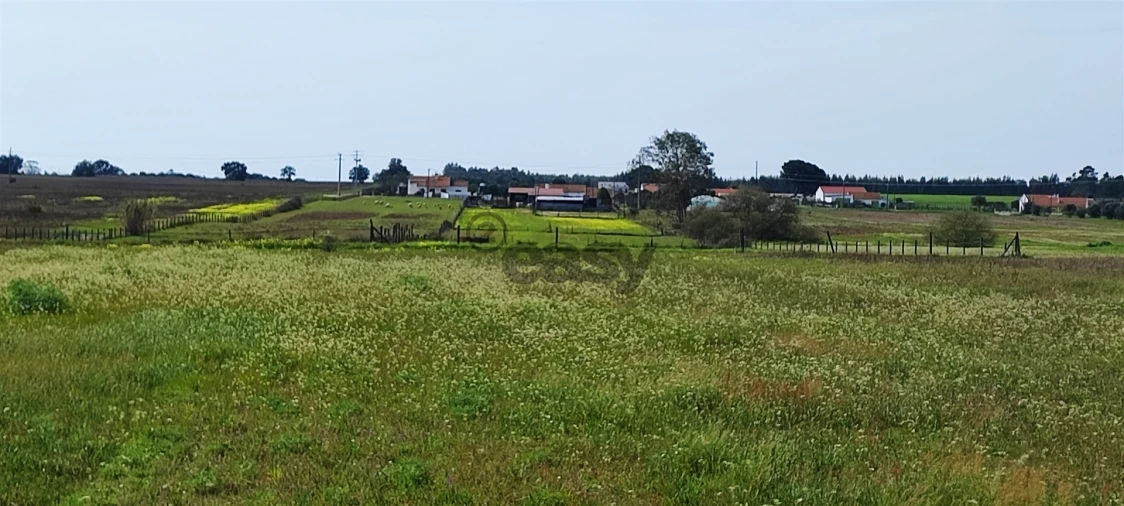 Terreno para Venda em Canha Foto 37