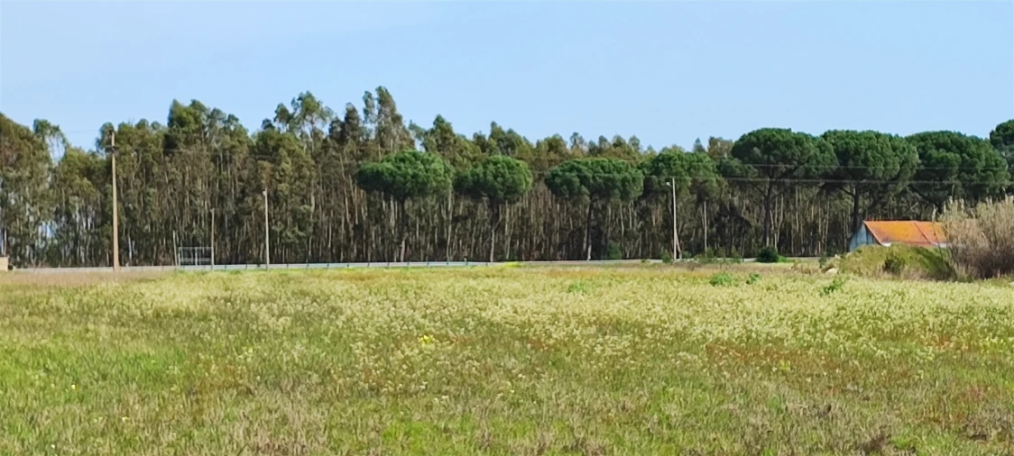 Terreno para Venda em Canha Foto 10