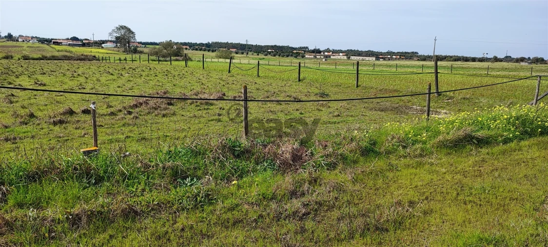 Terreno para Venda em Canha Foto 41
