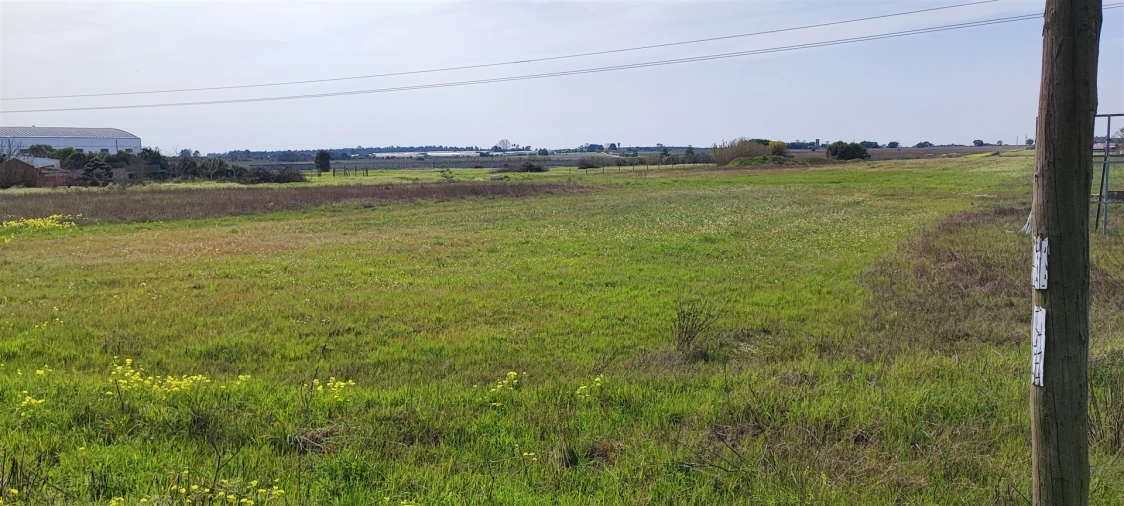 Terreno para Venda em Canha Foto 5