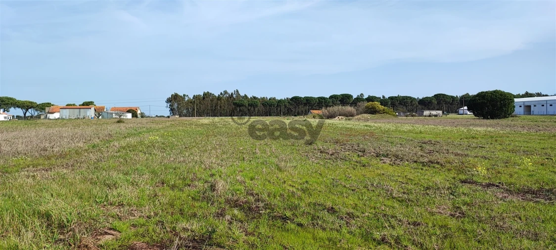 Terreno para Venda em Canha Foto 34