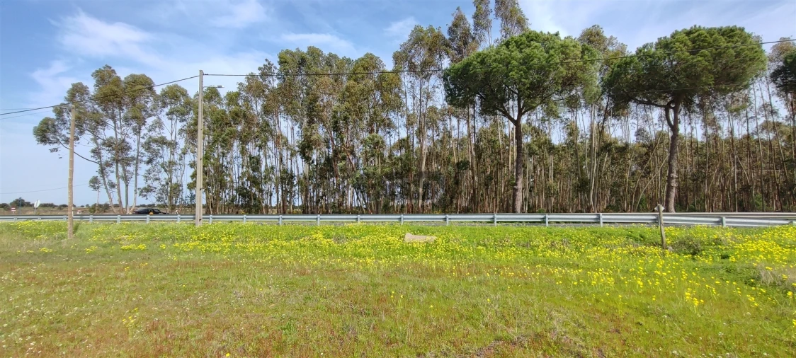 Terreno para Venda em Canha Foto 30