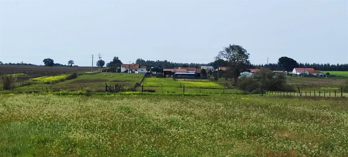 Terreno para Venda em Canha Foto 19