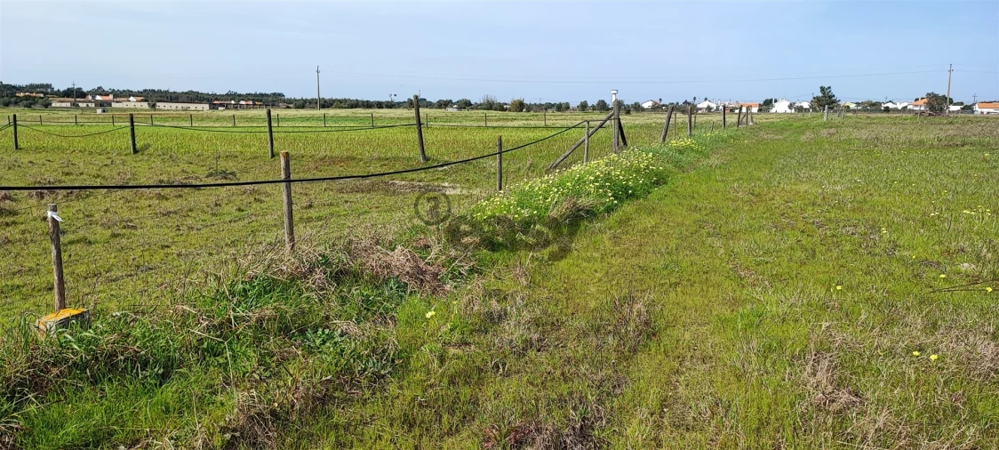 Terreno para Venda em Canha Foto 42