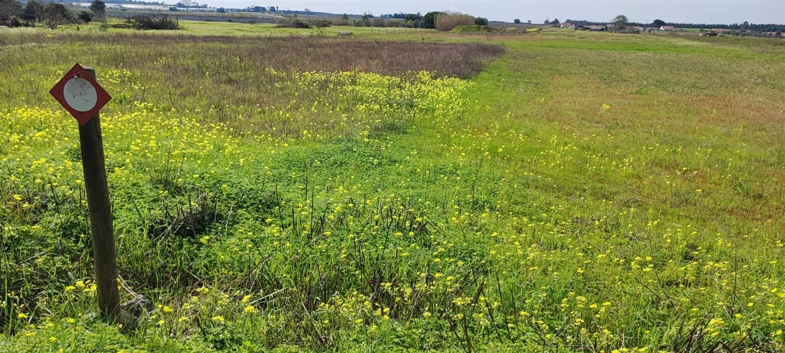Terreno para Venda em Canha Foto 7