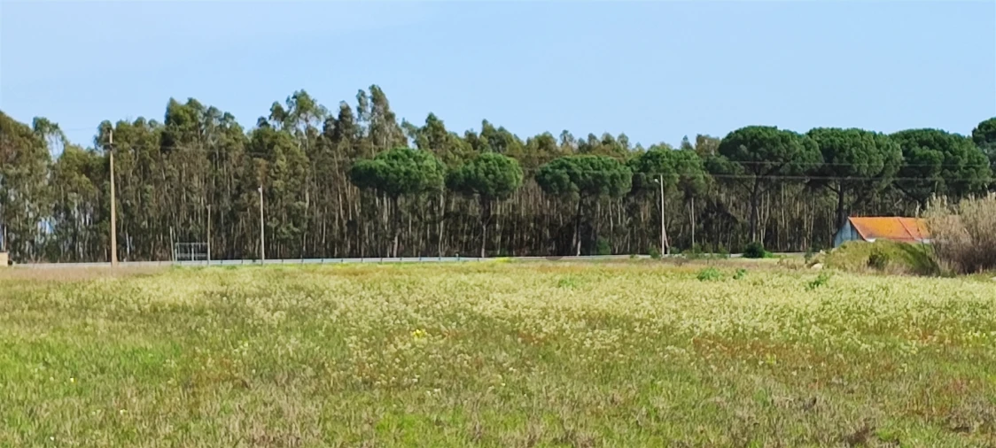 Terreno para Venda em Canha Foto 31