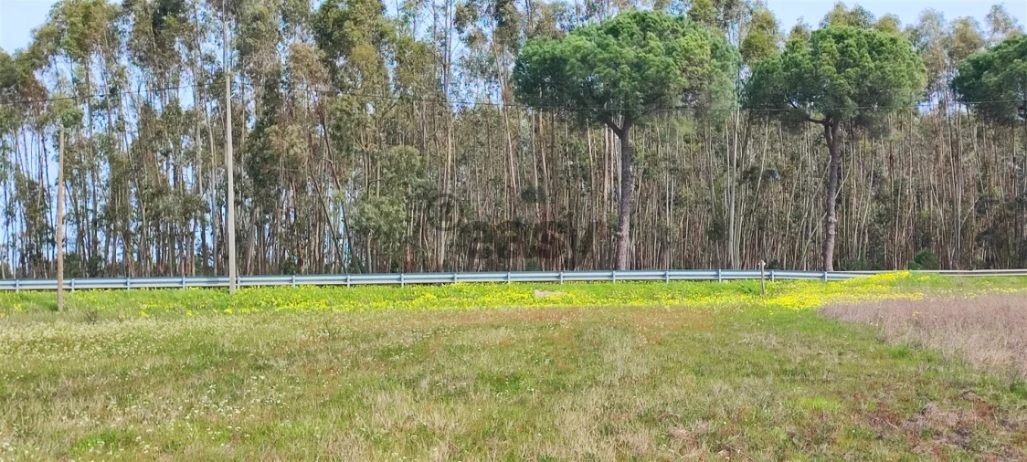 Terreno para Venda em Canha Foto 33