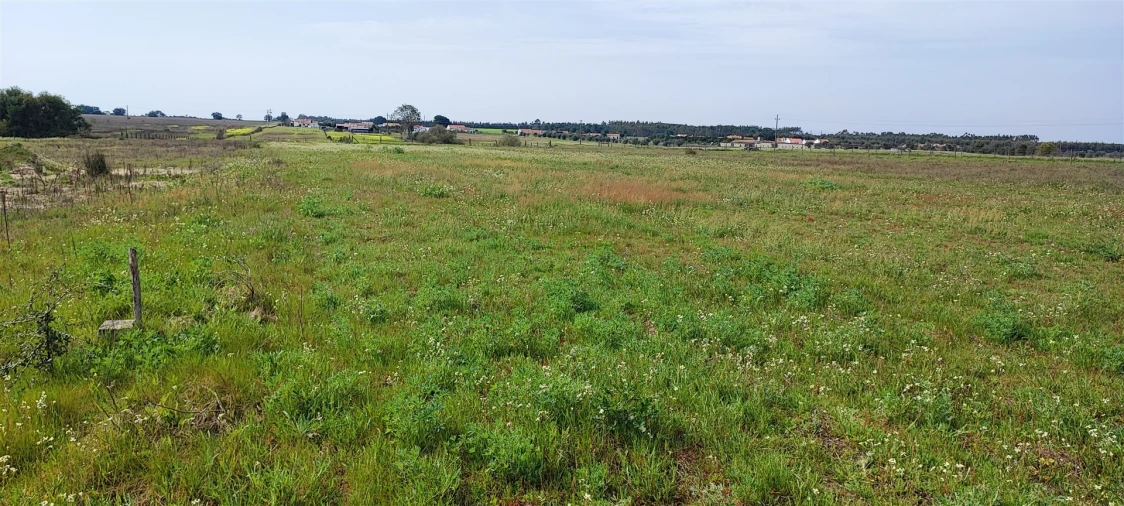 Terreno para Venda em Canha Foto 14