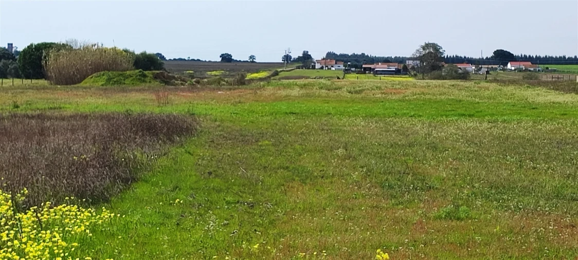 Terreno para Venda em Canha Foto 17